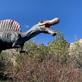 CalgaryZoo044