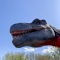 CalgaryZoo047