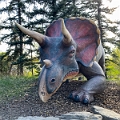 CalgaryZoo048