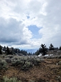 Osoyoos024