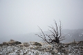 Osoyoos039