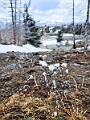 Osoyoos047