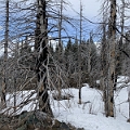 Osoyoos049