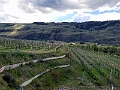 Osoyoos067