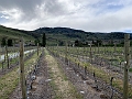 Osoyoos074