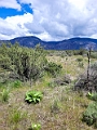 Osoyoos138