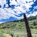 Osoyoos139