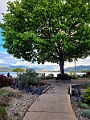 Osoyoos165