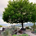 Osoyoos166