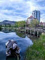 Kelowna006