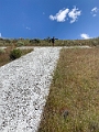 Penticton008