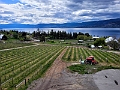 Kelowna033