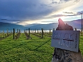 Kelowna038
