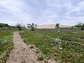 GreatSandHills005