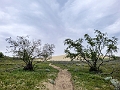 GreatSandHills006