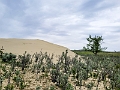 GreatSandHills009