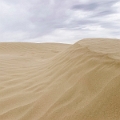GreatSandHills018
