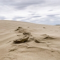 GreatSandHills024