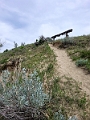GreatSandHills033