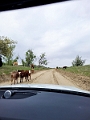 GreatSandHills034