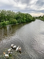 Regina035