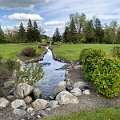PeaceGarden036
