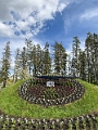 PeaceGarden045
