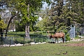 AssiniboineParkZoo007
