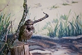 AssiniboineParkZoo011