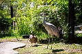 AssiniboineParkZoo014