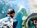 AssiniboineParkZoo030