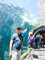 AssiniboineParkZoo031