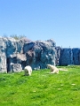 AssiniboineParkZoo040