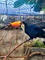 AssiniboineParkZoo062