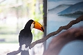 AssiniboineParkZoo064