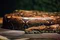 AssiniboineParkZoo066