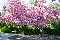 LeoMolSculptureGarden007
