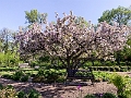LeoMolSculptureGarden008