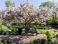 LeoMolSculptureGarden009
