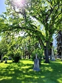 Winnipeg032