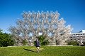 Winnipeg108