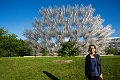 Winnipeg109