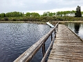 RidingMountain019