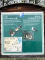 RidingMountain038