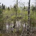 RidingMountain041