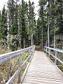 RidingMountain042
