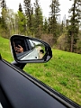 RidingMountain062