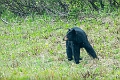 RidingMountain069