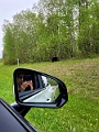 RidingMountain074