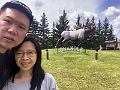 RidingMountain093